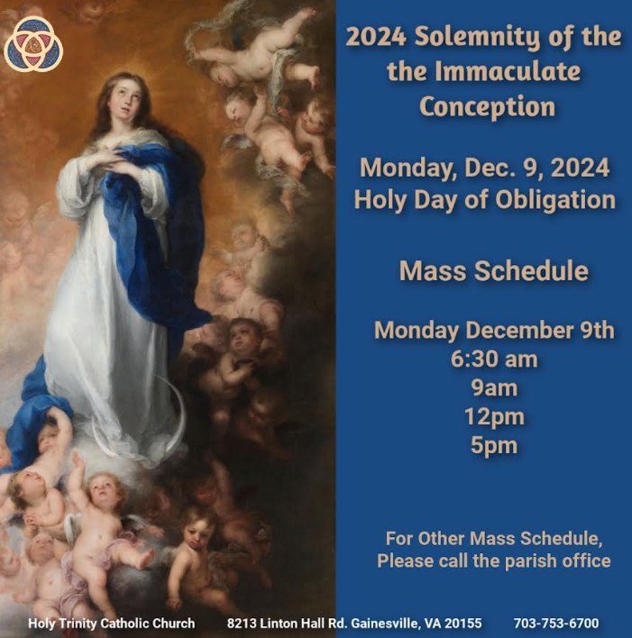 Solemnity Of The Immaculate Conception Holy Trinity Catholic Church